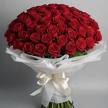 Букет 101 Красная роза Блэк Мэджик в Дор