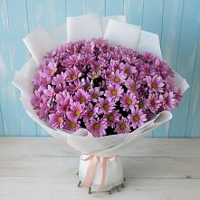 Букет цветов из:  Хризантемы в Дор
