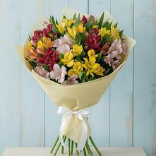 Букет цветов из:  Альстромерии в Дор