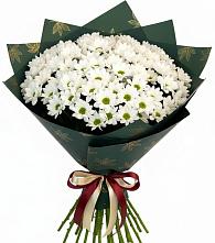Букет цветов из:  Хризантемы в Дор