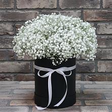 Цветочная композиция из Гипсофила в шляпной коробке #REPLACE_PRED# Дор