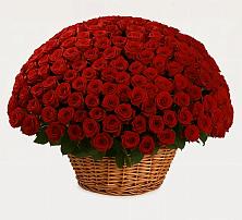 Премиум букет из: Розы в Дор