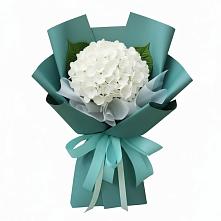 Букет цветов из:  Гортензия в Дор